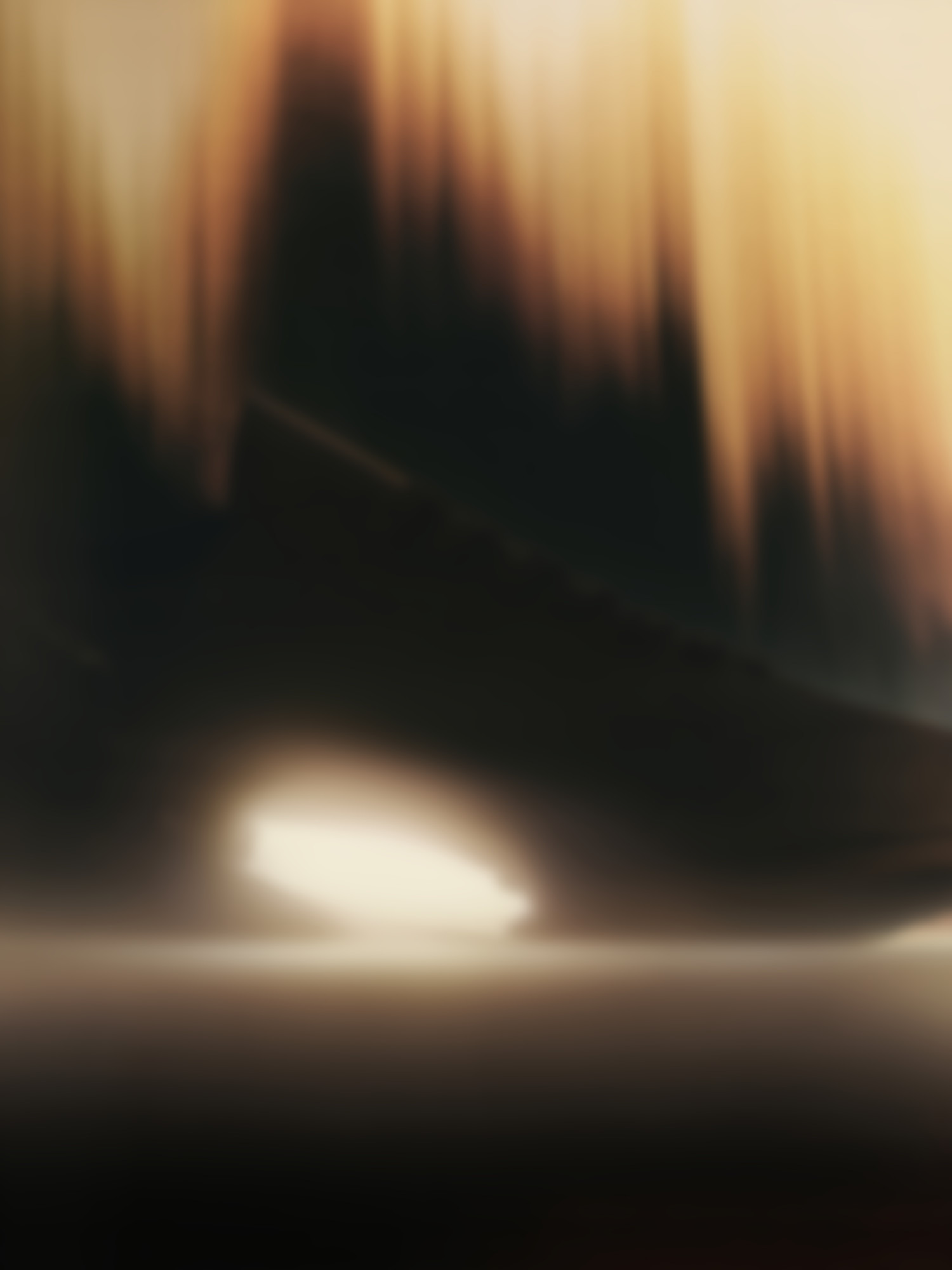 Adidas Y3 - © Global