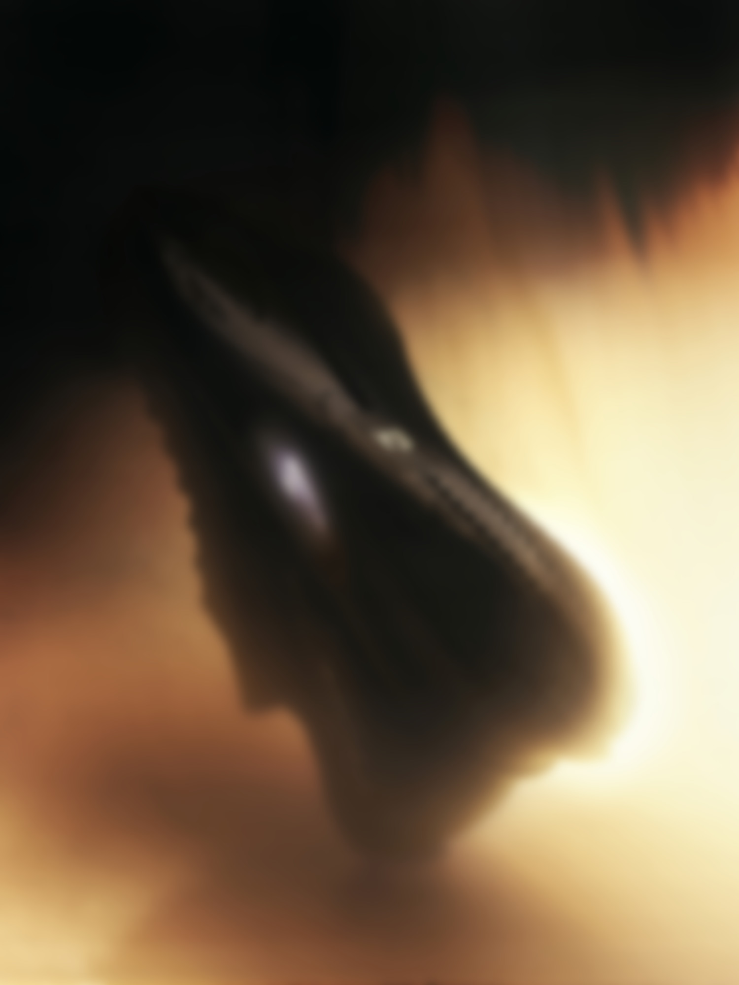 Adidas Y3 - © Global